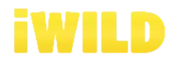 Iwild kaszinó